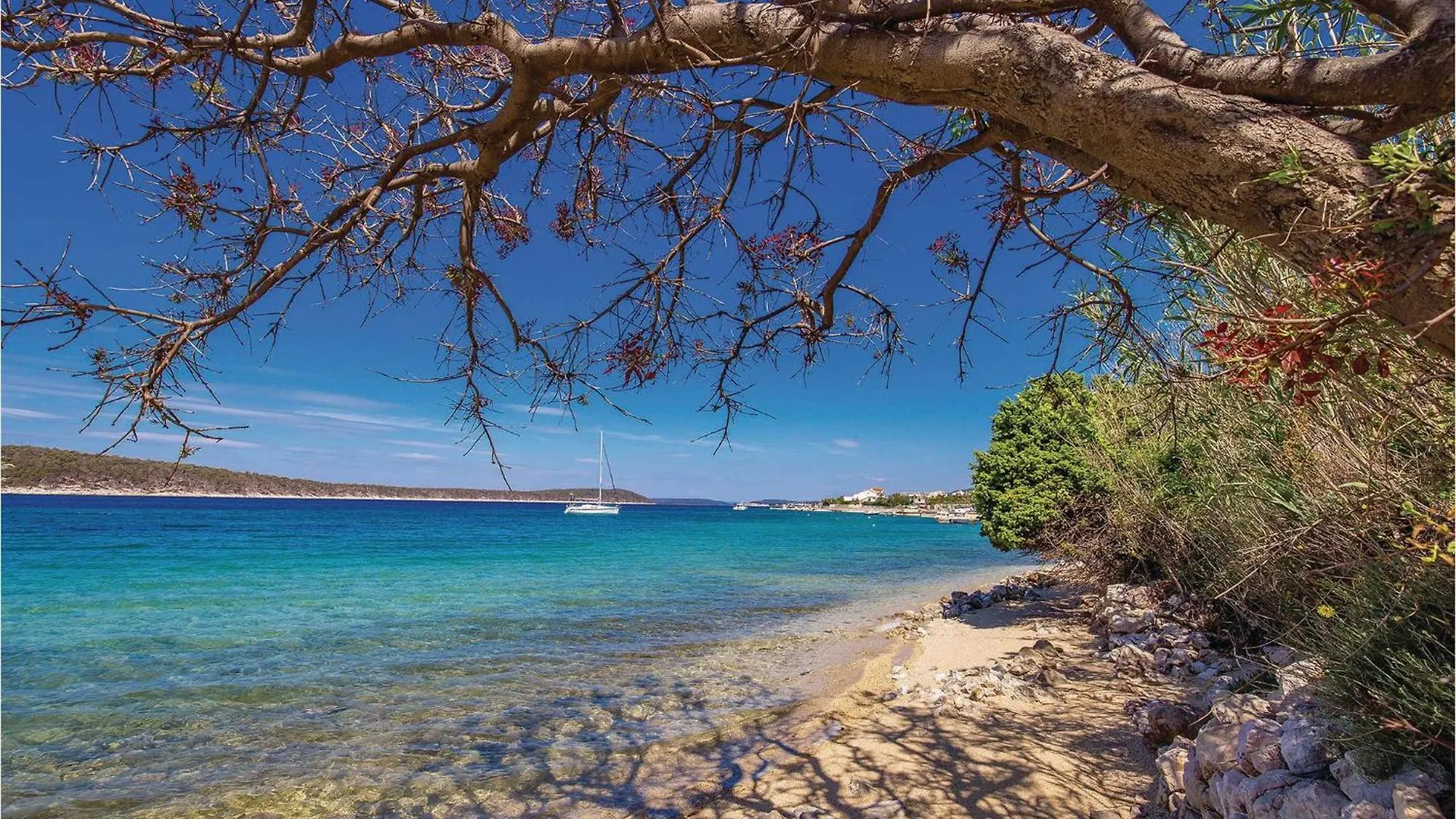 Nice Apartment In Barbat With 3 Bedrooms And Wifi Barbat na Rabu Croatia